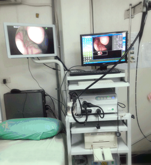 BriteMED 21 medical display at gastrointestinal endoscopy room